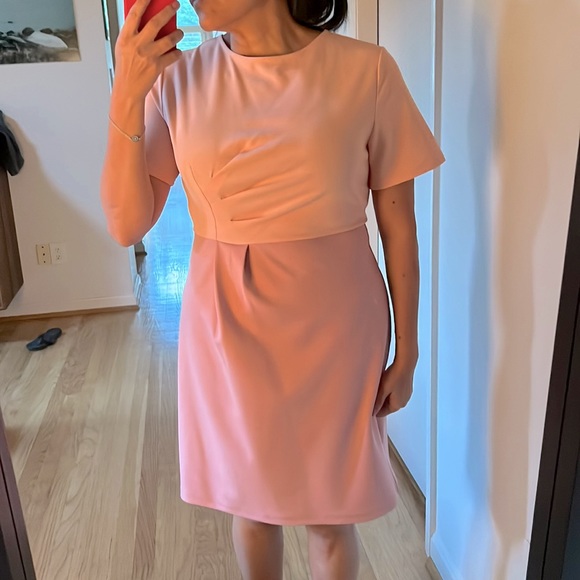 NWT Saturday Club dress-pink on pink color block with pleating details-US Large - Picture 3 of 12